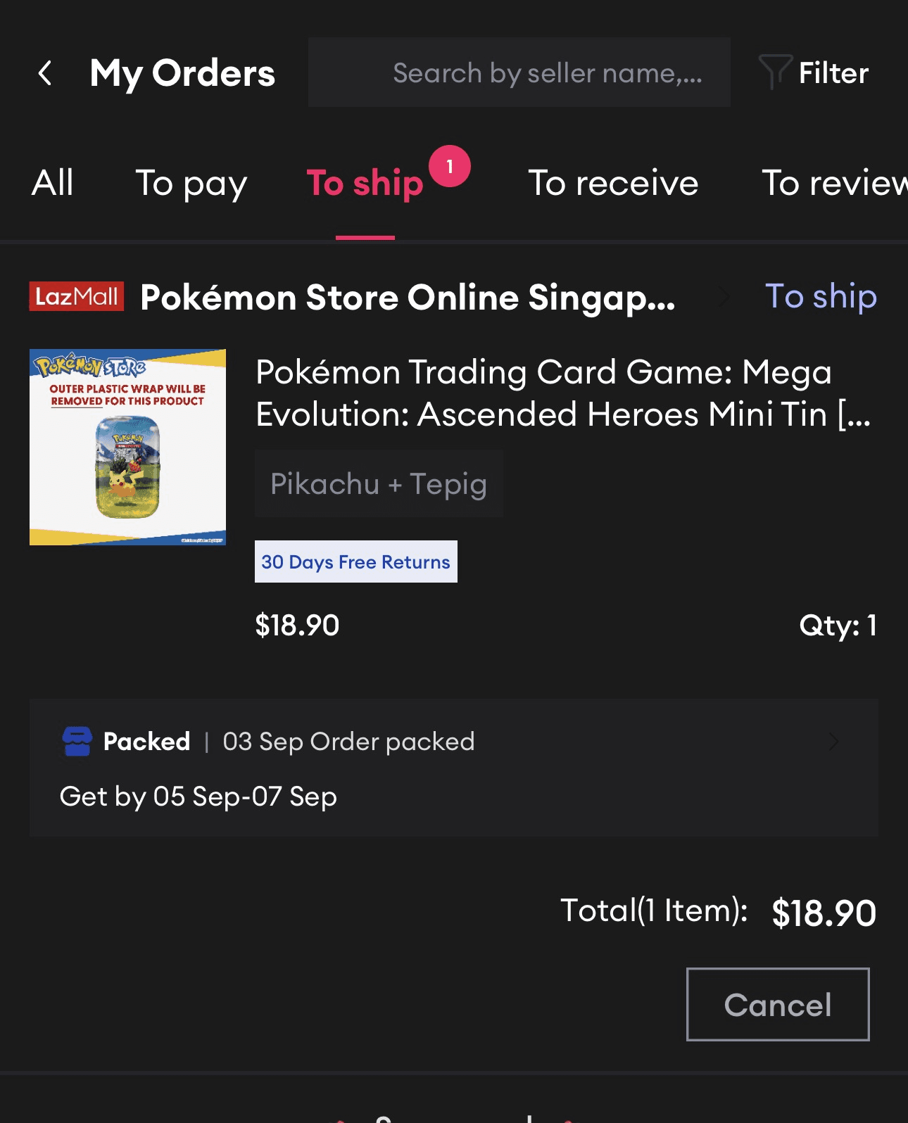 Mega Evolution: Ascended Heroes Mini Tin